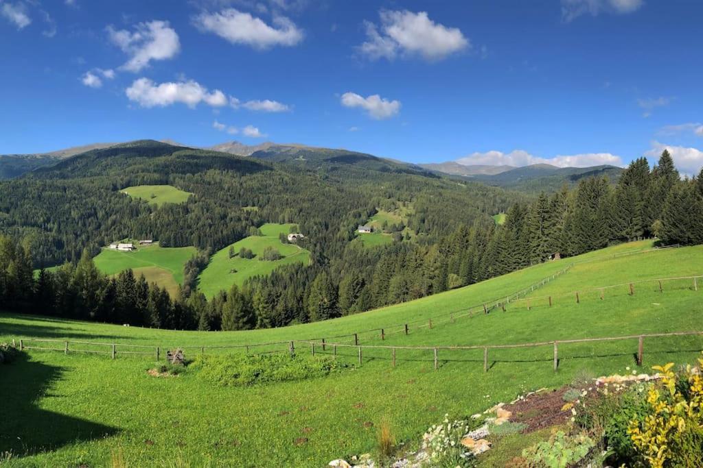 St Wolfgang-Kienberg - Ruhe Und Entspannung Mit Bester Aussicht Villa Obdach Екстериор снимка