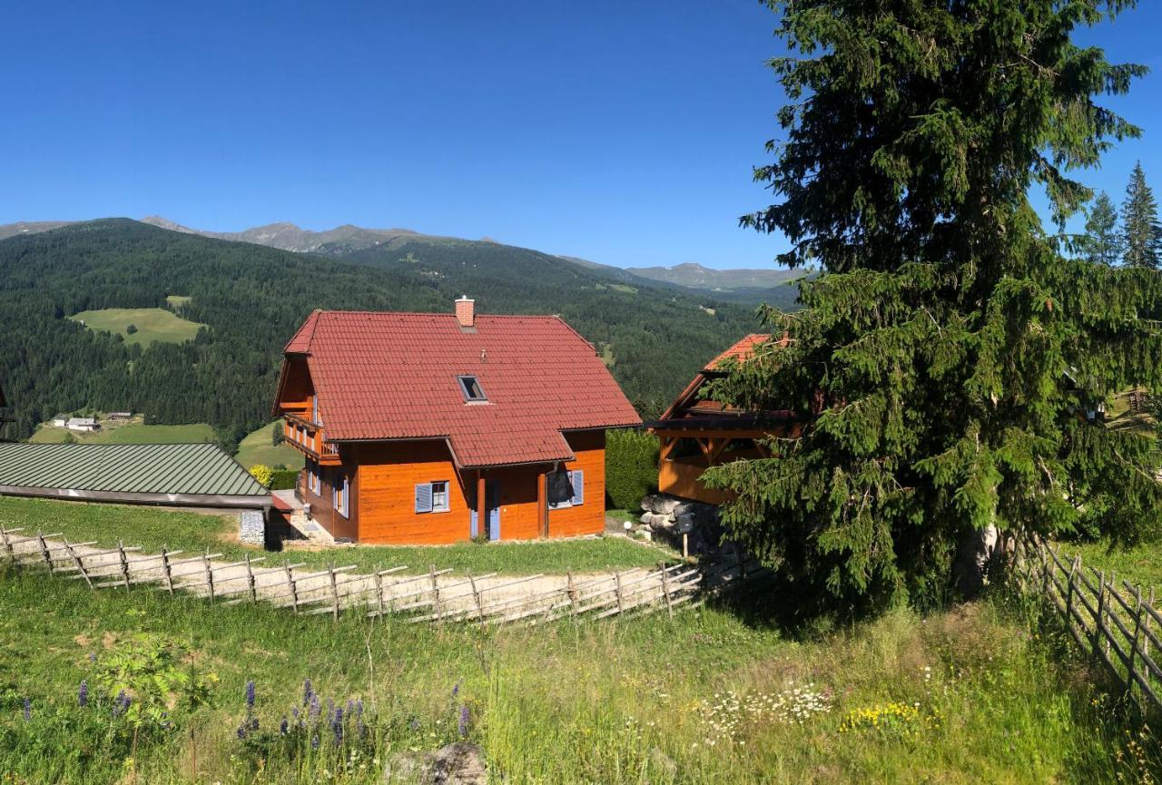 St Wolfgang-Kienberg - Ruhe Und Entspannung Mit Bester Aussicht Villa Obdach Екстериор снимка